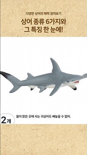 상어_종류_6가지와_그_특징_한_눈에