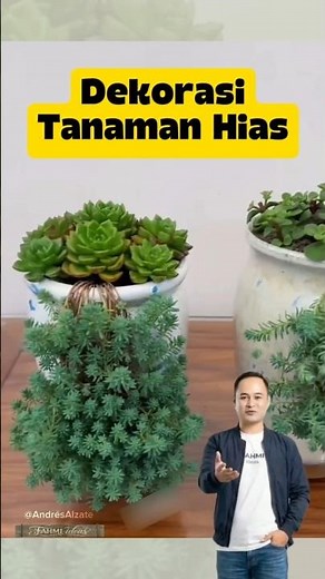 Creative Ideas for Decorating Your Garden with Ornamental Plants #creativeideas #inspiration #art