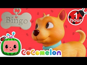 Can You Spell B.I.N.G.O 🐶 CoComelon Nursery Rhymes | Animals For Kids | Toddler Learning Kids Songs