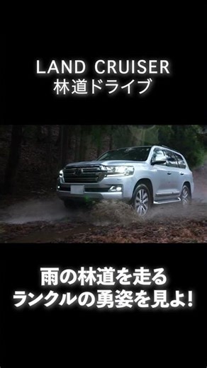 【林道】豪雨で水位上昇！ランクル200で伊豆の林道「達磨山林道支線」に挑む！ #shorts