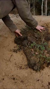 Building an underground shelter in 5 days: what it took