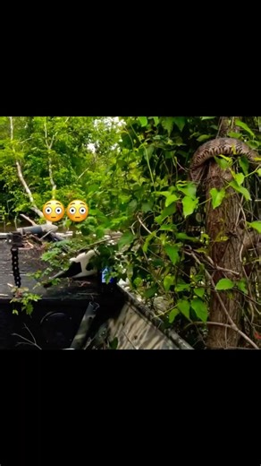 Throwback to when we almost had this uninvited guest in our boat! #fyp #pov #shorts #reels #snakes