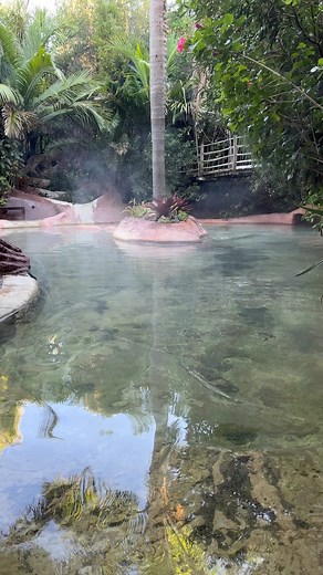 Perfect fix for those cold mornings 😍 #thelostspring #relax #hotspring | The Lost Spring Geothermal Pools & Day Spa