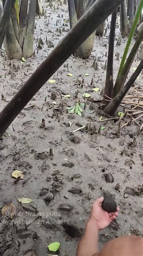 2.1M views · 10K reactions | Marami akong tuway na itinanim #Amazing...