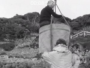 FROM THE ARCHIVES: ALBANY'S ECLIPSE ISLAND - 1968 This fascinating gem was shot on Eclipse Island when the Albany outpost was still home to a couple of families... what a place to call home!😮 Tomorrow is world World Marine Aids to Navigation | ABC Great Southern
