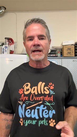 Clarification video about the dog I posted last night. | David Loop