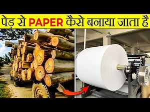 How Paper is Made from Wood? | Facten