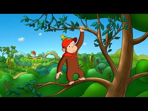 ¡Perdido en el bosque!| Jorge El Curioso | Dibujos Animados en Español