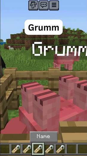 Minecraft Name Tag Easter Eggs #minecraft