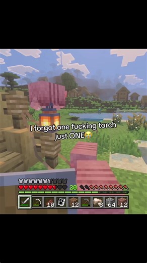 Minecraft Caves: Forgot One Torch and It Went Wrong