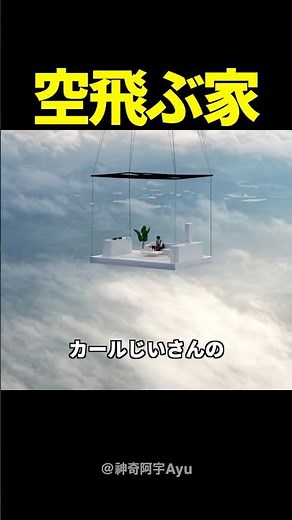 The person who actually built Carl's flying house is so crazy