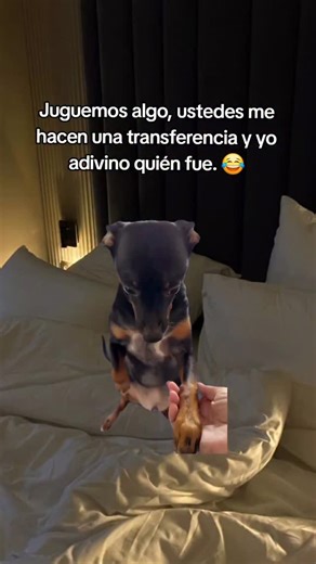 Hugo Rivera on Instagram: "jNi una tras gerencia ni nada? Jajaja, broma. 😂 #meme #memes #viral #parati #humor"