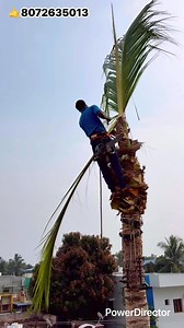 2.3K views · 1.1K reactions | Tree cutter service pattukkottai sabariraja 8072635013 | Sabariraja M | Facebook