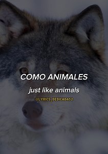Exploring 'Animals' by Maroon 5: Lyrics and Meaning