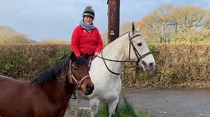 Riding school’s future in jeopardy after ‘catastrophic’ strangles outbreak - Horse & Hound