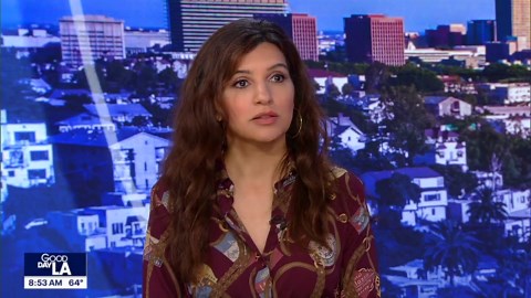 Hulk Hogan dead at 71: TMZ