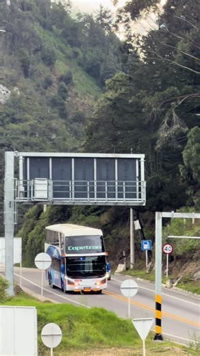 Descubre Copetran 10019: Transporte en Colombia