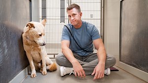 They said he’s a ‘Lost Cause’ - Should I Pull this Traumatized Dog? | Rocky Kanaka