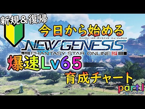 [PSO2NGS] Creating a chart to get to level 65 as quickly as possible, whether you're new or retur...