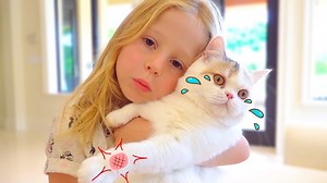 Stacy and the best cat stories for kids | Like Nastya Vlog