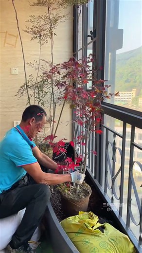 What is the experience of transforming your home's balcony into a garden?