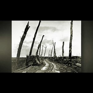 62K views · 1.1K reactions | 6 Disturbing Wikipedia Articles | The Storytelling | The Storytelling - Wartime Stories | Facebook