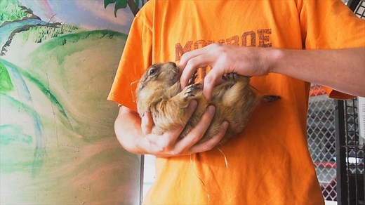 A zoo in a Florida jail. | 60 Second Docs Presents