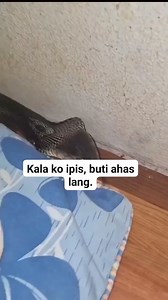 CCTO Billy Milano #1palangganation #villaalmighty #reelstrending #originalvideis #reelsvideo #reelschallenge #facebookviral #originalvideo #reels | Mj Tres