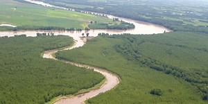 Flocculants and the Science Behind Clean Drinking Water | Science Buddies Blog