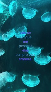 Sempre vão embora — Como lidar quando pessoas se afastam