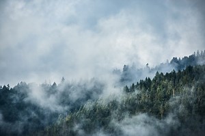 Data Observability: The Complete Introduction | Splunk