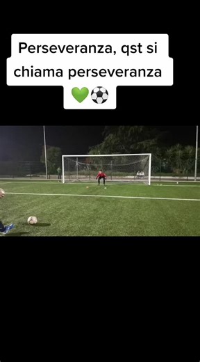 #finale #eserciziofisico #nuovastagione #seguochimisegue #portiere2006