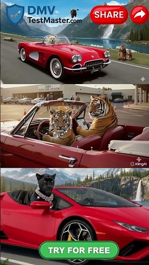 “DMV Test Secrets How to Pass the First Time Every Time”