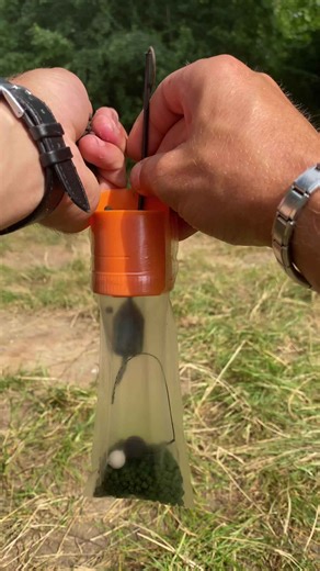 Effective carp rig montage