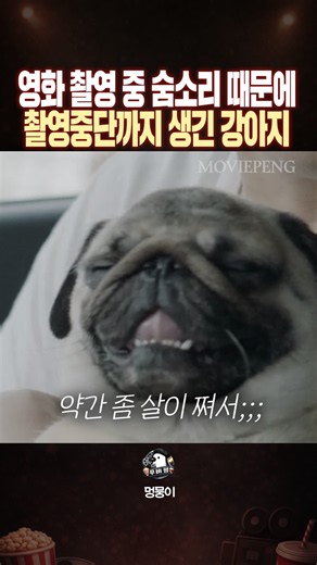 영화 촬영 중 숨소리 때문에 촬영중단까지 발생한 배우