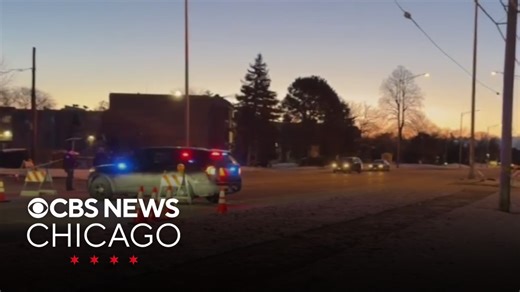 Driver found dead with gunshot wounds after hitting parked cars in Palatine, Illinois