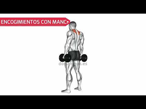 Cómo Hacer ENCOGIMIENTOS CON MANCUERNAS - Ejercicios Para Trapecios