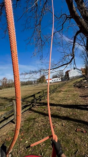 With the trees around this one staying and a hard lean towards the fence, it made this a tricky tree but we swung it around. #trickytree | Bad Badger Tree Company