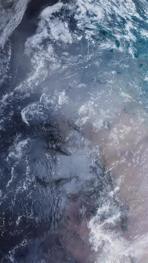 #fyppppppppppppppppppppppp #fypシ #keşfet #wild #discover