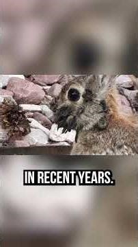 Mutating Rabbits with Tentacles Have Emerged #shorts