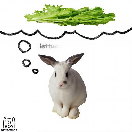 A 100% original video animated by ⁨‪‪@DIEMARCHIVE‬ #diemarchive #iloveyoutube