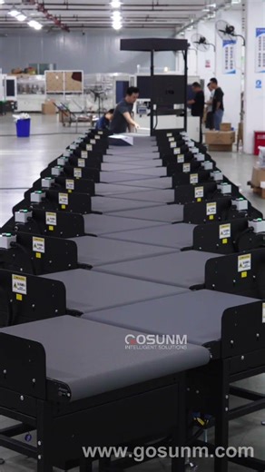 Static DWS with Z-Type Belt Sorter #warehouse #ecommerce #Logistics #factory #machine