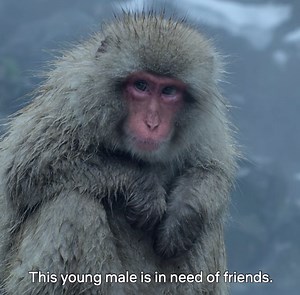 The world like you've never seen it before. Night on Earth is now streaming. | Netflix