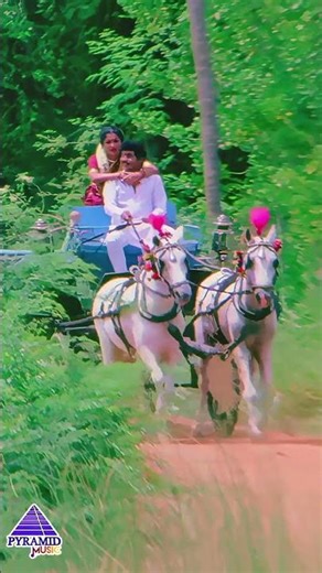 மாலைக்கருக்களிலே | Maala Karukkaliley Video Song | Enga Ooru Kavalkaran| Ramarajan |Gautami |#shorts