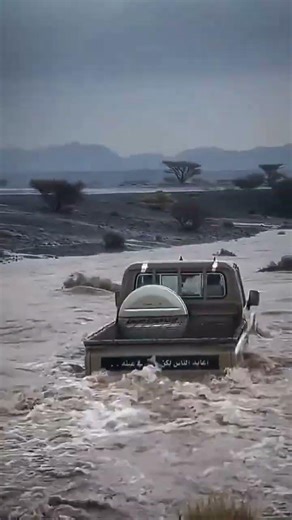 شاص #اكسبلور #حبه