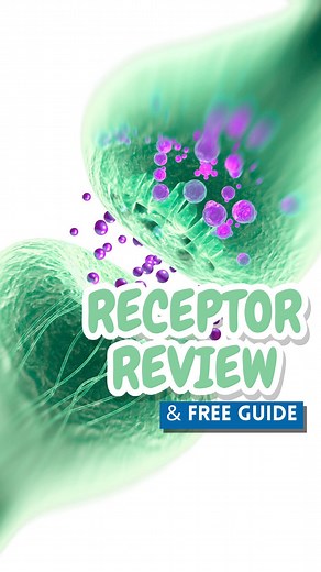 Barbara | BSN, RN on Instagram: "Comment “RECEPTOR” and I’ll send you the Alpha vs Beta Cheat Sheet — with receptor targets, drug examples, and NCLEX test tips you’ll actually remember. 💡 Alpha vs Beta is one of the highest-yield NCLEX topics. Use this one-sentence trick to make it stick: ✍️ A, B, C, D Alpha = Constriction Beta = Dilation Now break it down: ❤️ Beta 1 = Heart (we have 1 heart) 🫁 Beta 2 = Lungs (we have 2 lungs) So what does albuterol do? It’s a beta 2 agonist → bronchodilation 