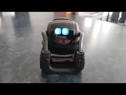 Robot Vector Anki mini Test version Française