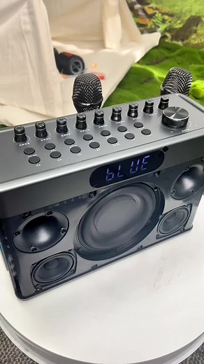 Blue Bluetooth Speaker with Mic - How to Use and Connect