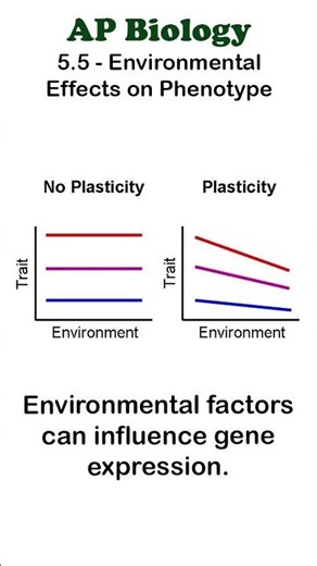 AP Bio - 5.5 Phenotypic Plasticity #apbiology #mendelian #unit5