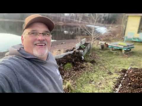 “Seaweed Mulch for Winter Protection + How to Overwinter Pepper Plants